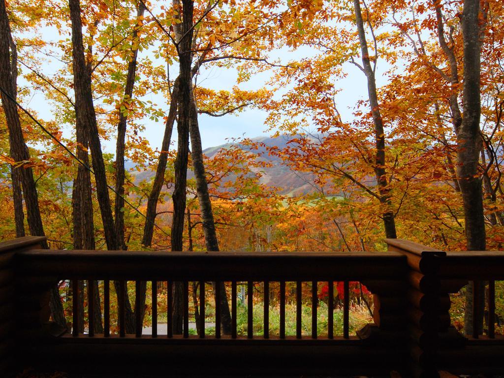 Holiday Cottage Green Valley 白马村 外观 照片
