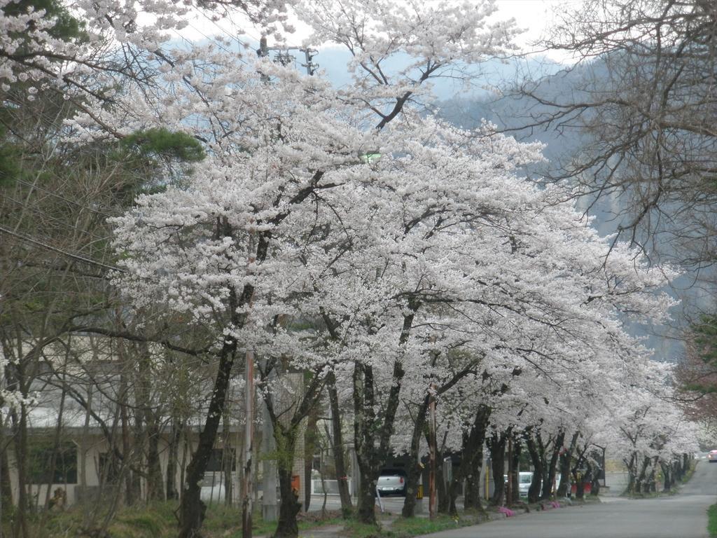 Holiday Cottage Green Valley 白马村 外观 照片