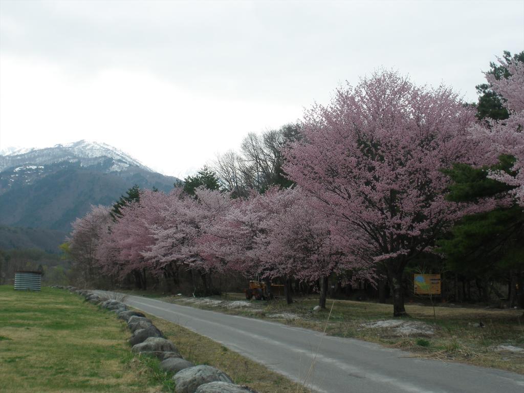 Holiday Cottage Green Valley 白马村 外观 照片