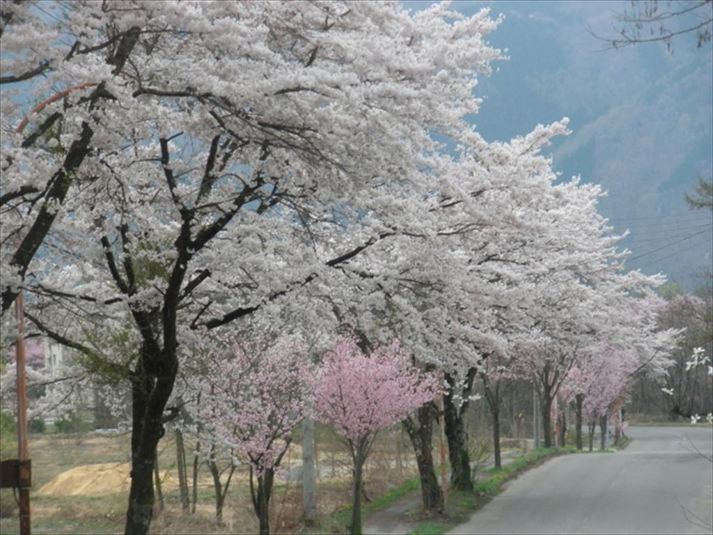Holiday Cottage Green Valley 白马村 外观 照片