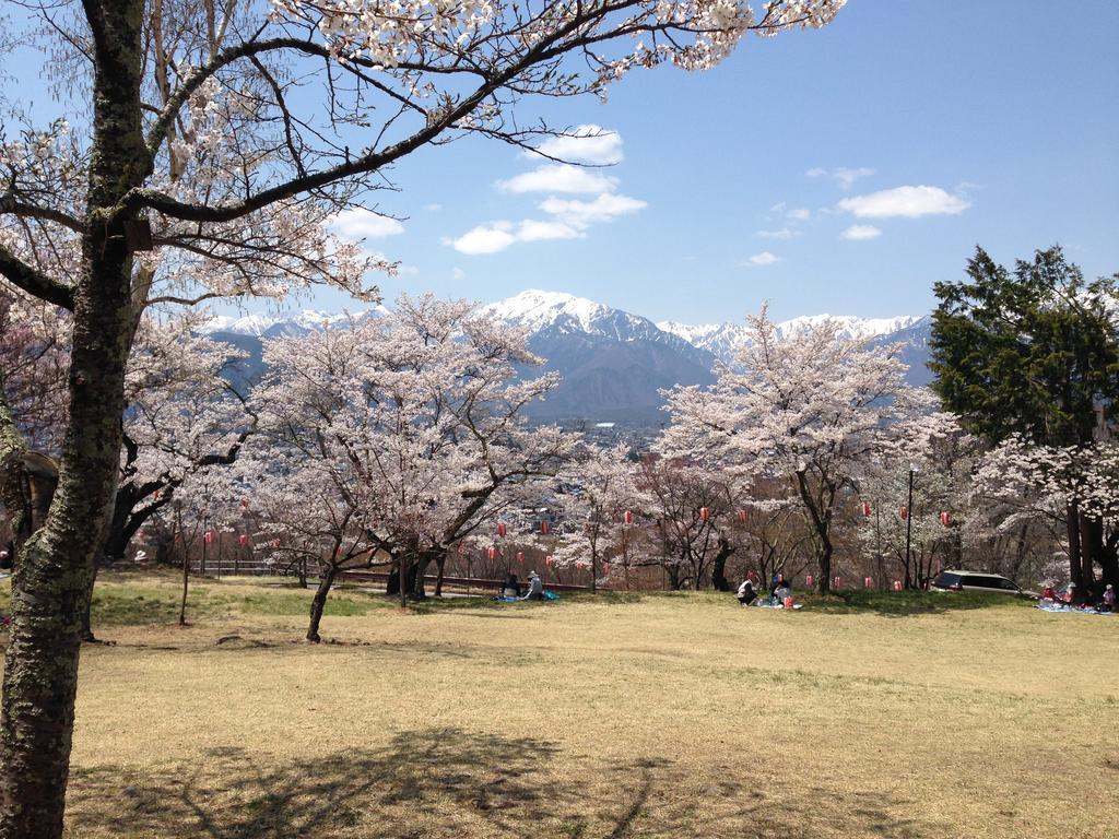 Holiday Cottage Green Valley 白马村 外观 照片