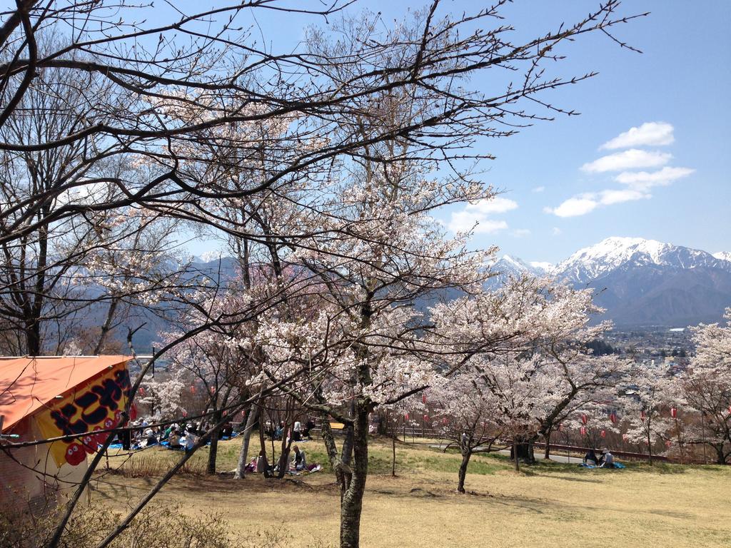 Holiday Cottage Green Valley 白马村 外观 照片