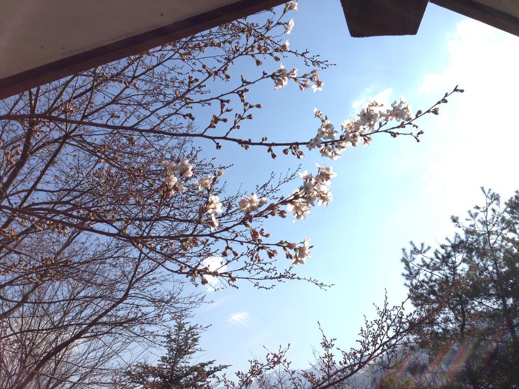 Holiday Cottage Green Valley 白马村 外观 照片