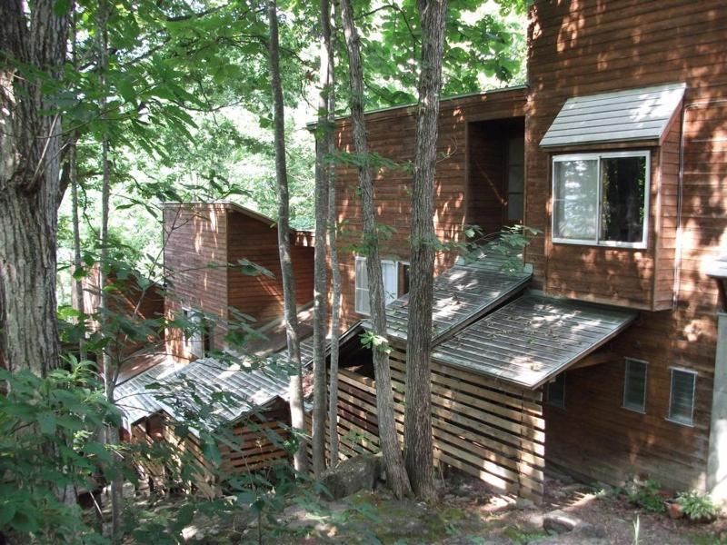 Holiday Cottage Green Valley 白马村 外观 照片